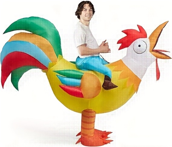 Rooster Inflatable Costume Adult, Riding a Chicken Blow Up Halloween Costume for Men Women Dress-Up Holiday Themed Cosplay Parties, Role Play Outfits Men
